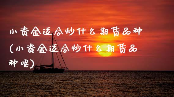 小资金适合炒什么期货品种(小资金适合炒什么期货品种呢)_https://www.zztgc.com_期货入门_第1张