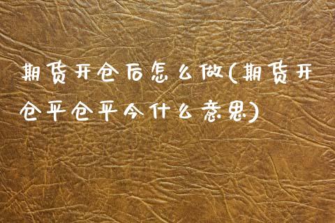 期货开仓后怎么做(期货开仓平仓平今什么意思)_https://www.zztgc.com_期货入门_第1张