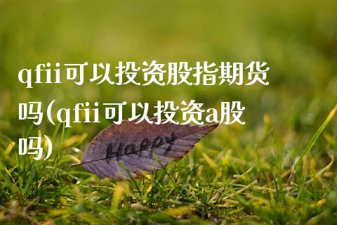 qfii可以投资股指期货吗(qfii可以投资a股吗)_https://www.zztgc.com_黄金期货_第1张