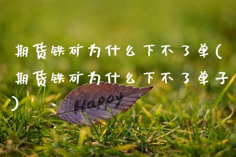 期货铁矿为什么下不了单(期货铁矿为什么下不了单子)_https://www.zztgc.com_期货直播_第1张