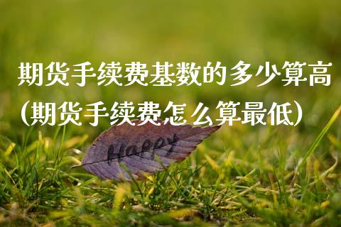 期货手续费基数的多少算高(期货手续费怎么算最低)_https://www.zztgc.com_期货开户_第1张