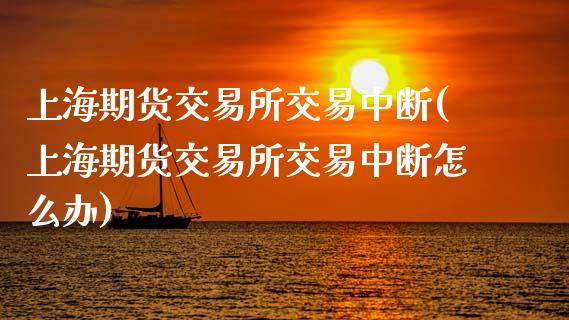 上海期货交易所交易中断(上海期货交易所交易中断怎么办)_https://www.zztgc.com_期货行情_第1张