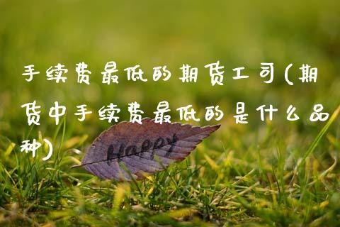 手续费最低的期货工司(期货中手续费最低的是什么品种)_https://www.zztgc.com_期货行情_第1张