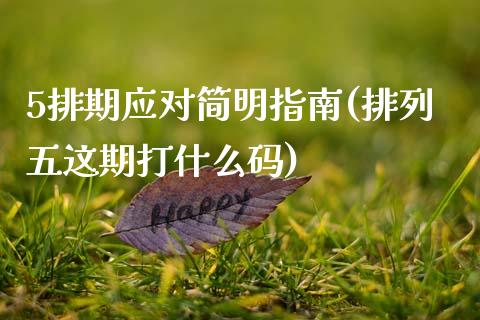 5排期应对简明指南(排列五这期打什么码)_https://www.zztgc.com_黄金期货_第1张