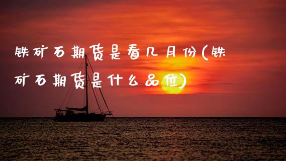 铁矿石期货是看几月份(铁矿石期货是什么品位)_https://www.zztgc.com_原油期货_第1张