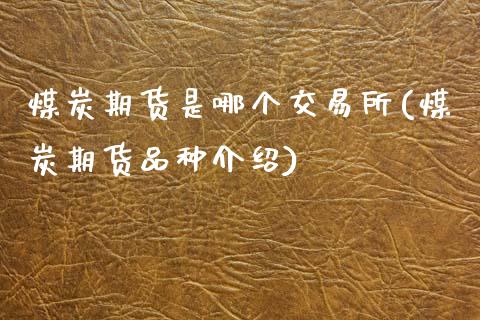 煤炭期货是哪个交易所(煤炭期货品种介绍)_https://www.zztgc.com_期货行情_第1张