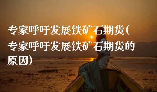专家呼吁发展铁矿石期货(专家呼吁发展铁矿石期货的原因)_期货入门_第1张_珍投期货网 专家呼吁发展铁矿石期货(专家呼吁发展铁矿石期货的原因)_https://www.zztgc.com_期货入门_第1张