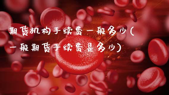 期货机构手续费一般多少(一般期货手续费是多少)_https://www.zztgc.com_原油期货_第1张