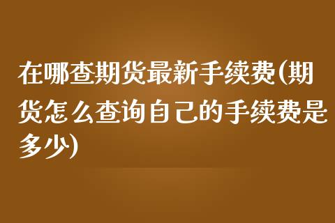 在哪查期货最新手续费(期货怎么查询自己的手续费是多少)_https://www.zztgc.com_期货行情_第1张