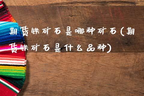 期货铁矿石是哪种矿石(期货铁矿石是什么品种)_https://www.zztgc.com_期货直播_第1张