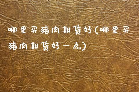 哪里买猪肉期货好(哪里买猪肉期货好一点)_https://www.zztgc.com_期货行情_第1张