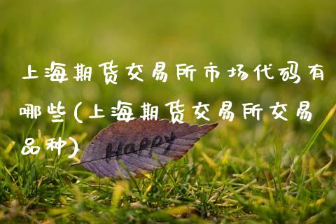 上海期货交易所市场代码有哪些(上海期货交易所交易品种)_https://www.zztgc.com_期货开户_第1张