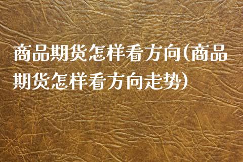 商品期货怎样看方向(商品期货怎样看方向走势)_https://www.zztgc.com_期货开户_第1张