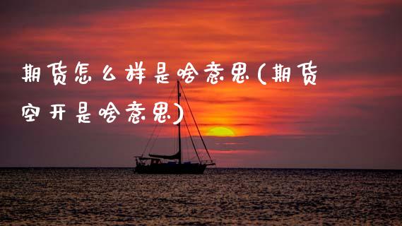 期货怎么样是啥意思(期货空开是啥意思)_https://www.zztgc.com_期货开户_第1张