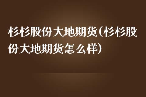 杉杉股份大地期货(杉杉股份大地期货怎么样)_https://www.zztgc.com_期货直播_第1张