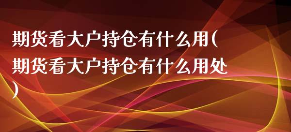 期货看大户持仓有什么用(期货看大户持仓有什么用处)_https://www.zztgc.com_期货行情_第1张