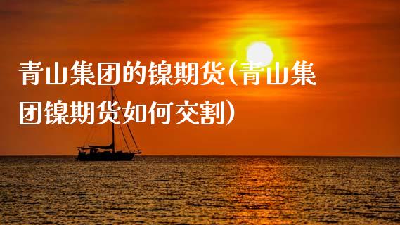 青山集团的镍期货(青山集团镍期货如何交割)_https://www.zztgc.com_黄金期货_第1张