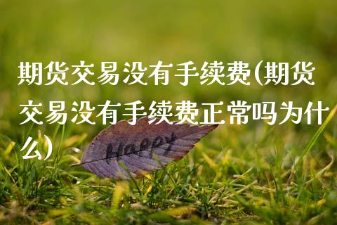 期货交易没有手续费(期货交易没有手续费正常吗为什么)_https://www.zztgc.com_黄金期货_第1张