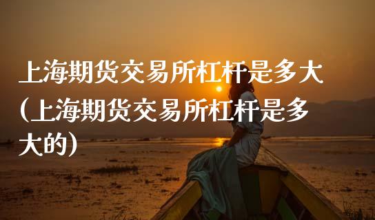上海期货交易所杠杆是多大(上海期货交易所杠杆是多大的)_https://www.zztgc.com_期货入门_第1张