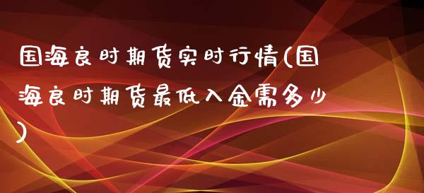 国海良时期货实时行情(国海良时期货最低入金需多少)_https://www.zztgc.com_黄金期货_第1张