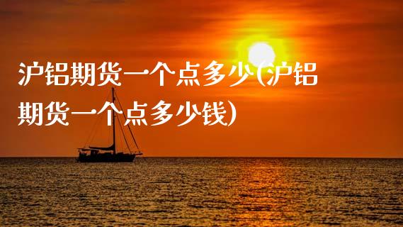 沪铝期货一个点多少(沪铝期货一个点多少钱)_https://www.zztgc.com_黄金期货_第1张