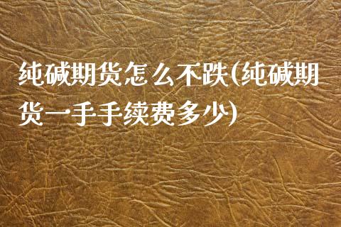 纯碱期货怎么不跌(纯碱期货一手手续费多少)_https://www.zztgc.com_期货行情_第1张