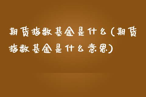 期货指数基金是什么(期货指数基金是什么意思)_https://www.zztgc.com_期货开户_第1张