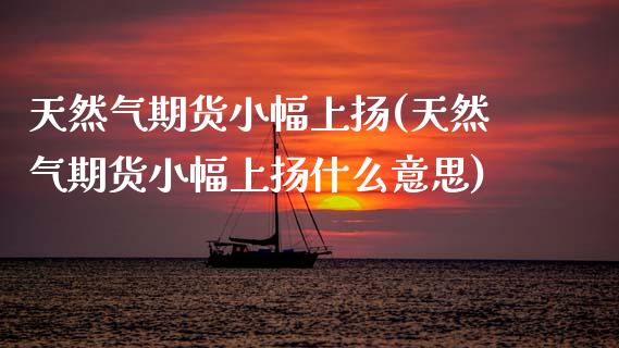 天然气期货小幅上扬(天然气期货小幅上扬什么意思)_https://www.zztgc.com_原油期货_第1张