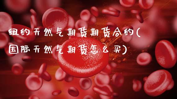 纽约天然气期货期货合约(国际天然气期货怎么买)_https://www.zztgc.com_原油期货_第1张