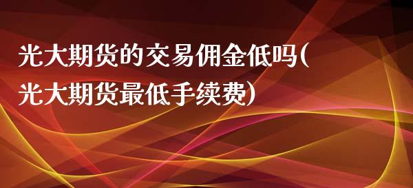 光大期货的交易佣金低吗(光大期货最低手续费)_https://www.zztgc.com_黄金期货_第1张