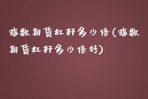 指数期货杠杆多少倍(指数期货杠杆多少倍好)_https://www.zztgc.com_期货入门_第1张