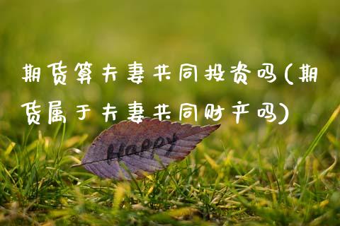 期货算夫妻共同投资吗(期货属于夫妻共同财产吗)_https://www.zztgc.com_期货行情_第1张