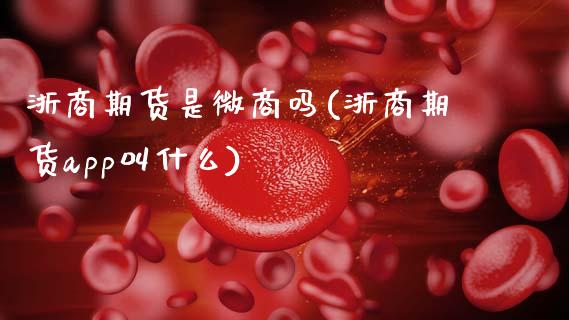浙商期货是微商吗(浙商期货app叫什么)_https://www.zztgc.com_期货入门_第1张