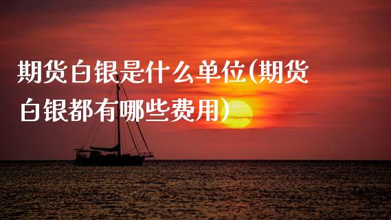 期货白银是什么单位(期货白银都有哪些费用)_https://www.zztgc.com_黄金期货_第1张