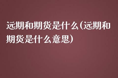 远期和期货是什么(远期和期货是什么意思)_https://www.zztgc.com_期货行情_第1张