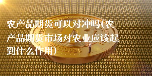 农产品期货可以对冲吗(农产品期货市场对农业应该起到什么作用)_https://www.zztgc.com_期货入门_第1张