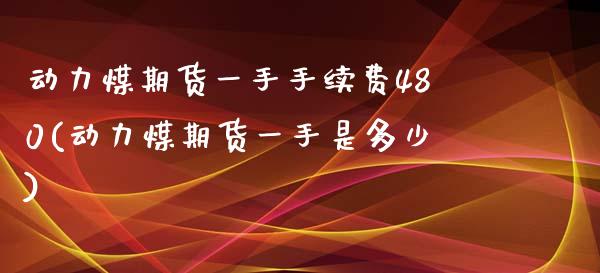 动力煤期货一手手续费480(动力煤期货一手是多少)_https://www.zztgc.com_原油期货_第1张