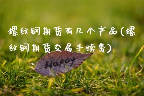 螺纹钢期货有几个产品(螺纹钢期货交易手续费)_https://www.zztgc.com_期货入门_第1张