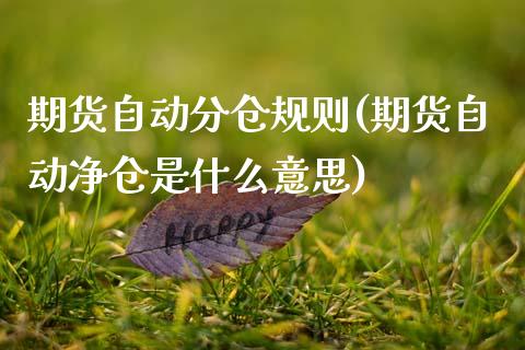 期货自动分仓规则(期货自动净仓是什么意思)_https://www.zztgc.com_原油期货_第1张
