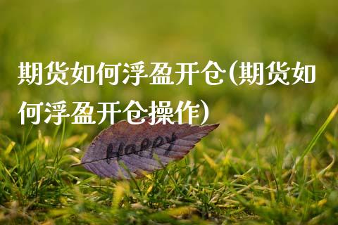 期货如何浮盈开仓(期货如何浮盈开仓操作)_https://www.zztgc.com_原油期货_第1张