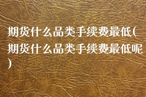期货什么品类手续费最低(期货什么品类手续费最低呢)_https://www.zztgc.com_期货入门_第1张