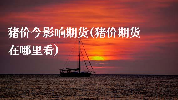 猪价今影响期货(猪价期货在哪里看)_https://www.zztgc.com_原油期货_第1张