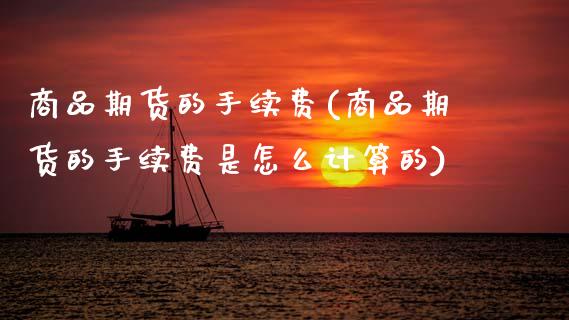 商品期货的手续费(商品期货的手续费是怎么计算的)_https://www.zztgc.com_期货行情_第1张