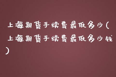 上海期货手续费最低多少(上海期货手续费最低多少钱)_https://www.zztgc.com_期货入门_第1张