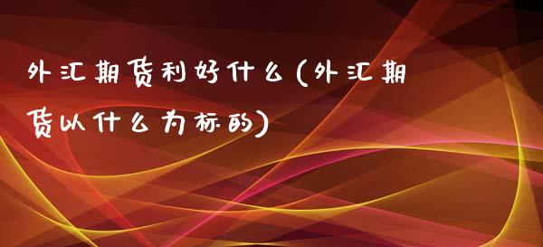 外汇期货利好什么(外汇期货以什么为标的)_https://www.zztgc.com_期货行情_第1张