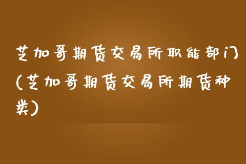 芝加哥期货交易所职能部门(芝加哥期货交易所期货种类)_https://www.zztgc.com_期货入门_第1张