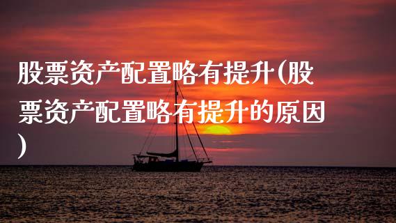 股票资产配置略有提升(股票资产配置略有提升的原因)_https://www.zztgc.com_原油期货_第1张