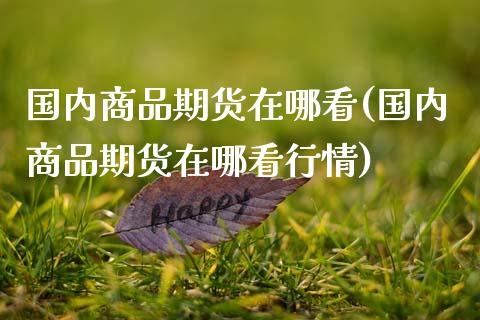 国内商品期货在哪看(国内商品期货在哪看行情)_https://www.zztgc.com_期货入门_第1张
