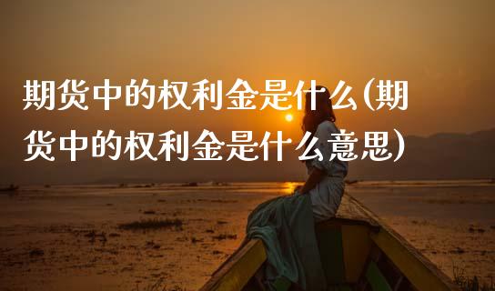 期货中的权利金是什么(期货中的权利金是什么意思)_https://www.zztgc.com_原油期货_第1张