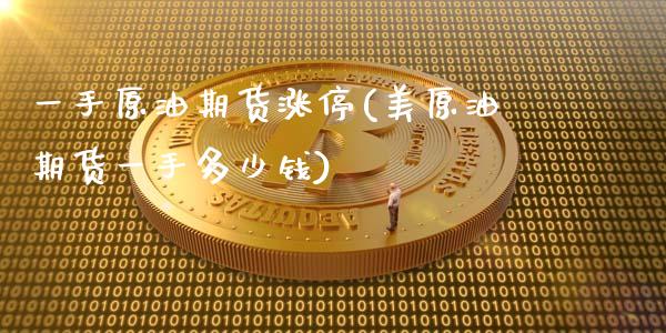 一手原油期货涨停(美原油期货一手多少钱)_https://www.zztgc.com_原油期货_第1张